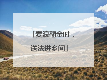 麦浪翻金时，送法进乡间