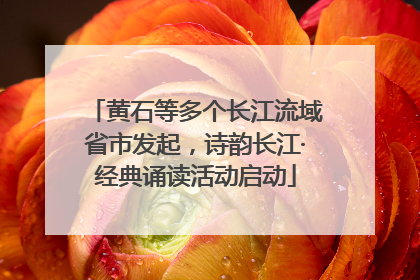 黄石等多个长江流域省市发起，诗韵长江·经典诵读活动启动