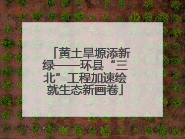 黄土旱塬添新绿——环县“三北”工程加速绘就生态新画卷
