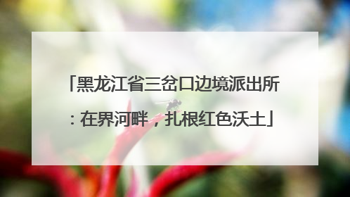 黑龙江省三岔口边境派出所：在界河畔，扎根红色沃土