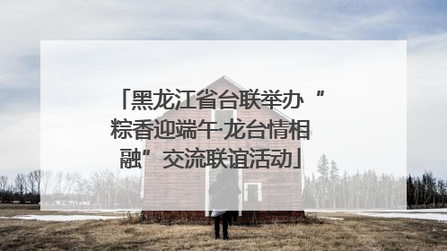 黑龙江省台联举办“粽香迎端午·龙台情相融”交流联谊活动