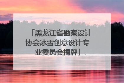 黑龙江省勘察设计协会冰雪创意设计专业委员会揭牌