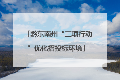 黔东南州“三项行动”优化招投标环境