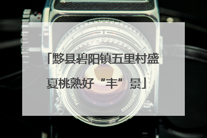 黟县碧阳镇五里村盛夏桃熟好“丰”景