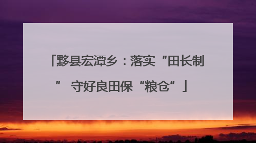 黟县宏潭乡：落实“田长制” 守好良田保“粮仓”