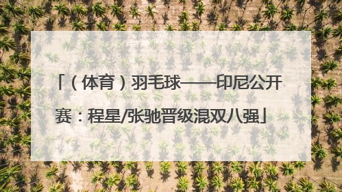 （体育）羽毛球——印尼公开赛：程星/张驰晋级混双八强