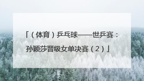 （体育）乒乓球——世乒赛：孙颖莎晋级女单决赛（2）