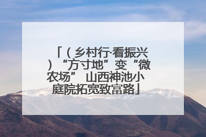 （乡村行·看振兴）“方寸地”变“微农场” 山西神池小庭院拓宽致富路