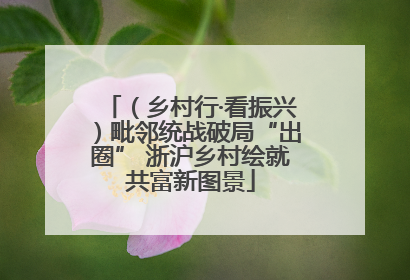 （乡村行·看振兴）毗邻统战破局“出圈” 浙沪乡村绘就共富新图景