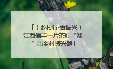 （乡村行·看振兴）江西信丰一片茶叶“沏”出乡村振兴路