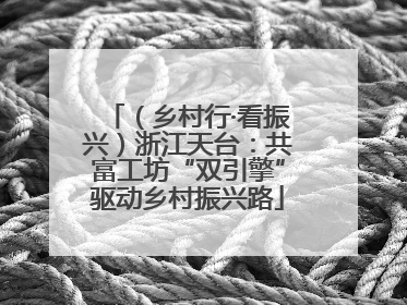 （乡村行·看振兴）浙江天台：共富工坊“双引擎”驱动乡村振兴路