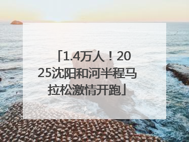 1.4万人！2025沈阳和河半程马拉松激情开跑