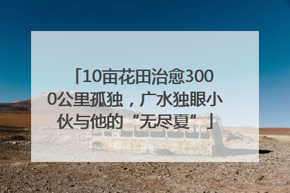 10亩花田治愈3000公里孤独，广水独眼小伙与他的“无尽夏”
