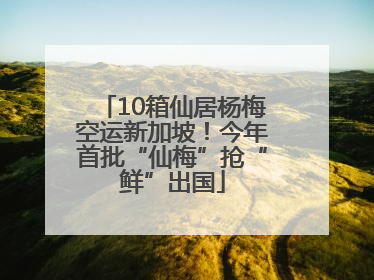 10箱仙居杨梅空运新加坡！今年首批“仙梅”抢“鲜”出国