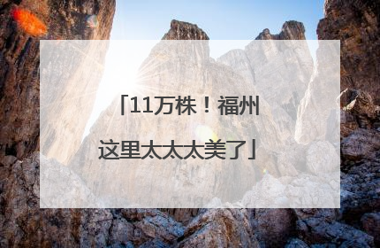 11万株！福州这里太太太美了