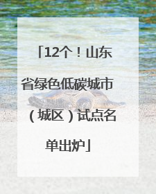 12个！山东省绿色低碳城市（城区）试点名单出炉