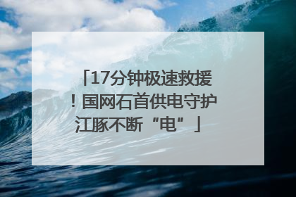 17分钟极速救援！国网石首供电守护江豚不断“电”