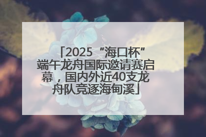 2025“海口杯”端午龙舟国际邀请赛启幕，国内外近40支龙舟队竞逐海甸溪