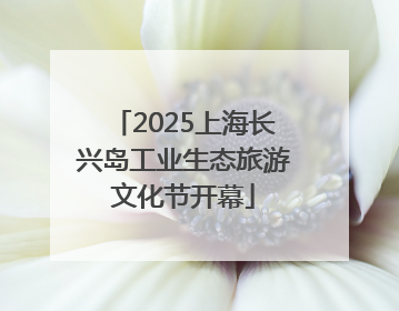 2025上海长兴岛工业生态旅游文化节开幕