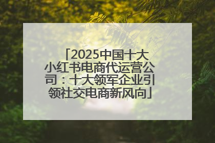 2025中国十大小红书电商代运营公司：十大领军企业引领社交电商新风向