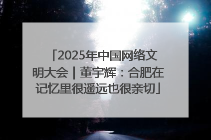 2025年中国网络文明大会｜董宇辉：合肥在记忆里很遥远也很亲切