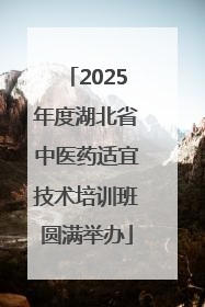 2025年度湖北省中医药适宜技术培训班圆满举办