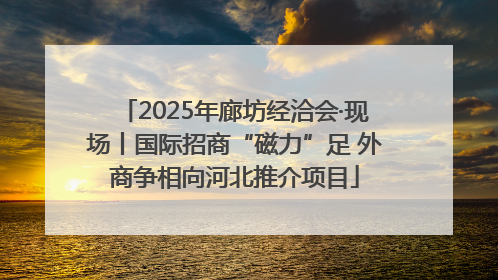 2025年廊坊经洽会·现场丨国际招商“磁力”足 外商争相向河北推介项目