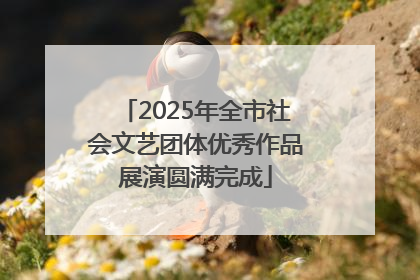 2025年全市社会文艺团体优秀作品展演圆满完成