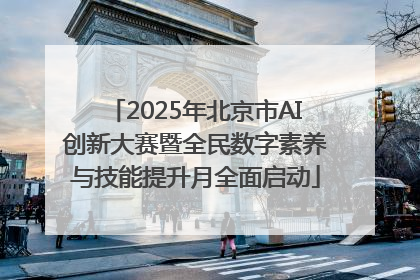 2025年北京市AI创新大赛暨全民数字素养与技能提升月全面启动