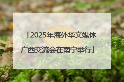 2025年海外华文媒体广西交流会在南宁举行