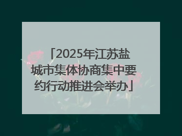 2025年江苏盐城市集体协商集中要约行动推进会举办