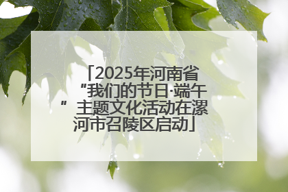 2025年河南省“我们的节日·端午”主题文化活动在漯河市召陵区启动