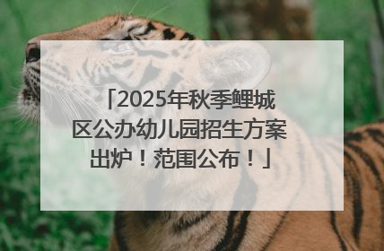 2025年秋季鲤城区公办幼儿园招生方案出炉！范围公布！