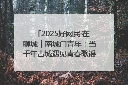 2025好网民·在聊城｜南城门青年：当千年古城遇见青春歌谣 一湖碧水见证的“聊城式浪漫”