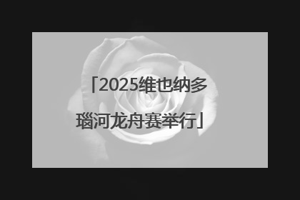 2025维也纳多瑙河龙舟赛举行