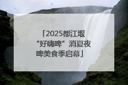 2025都江堰“好嗨啤”消夏夜啤美食季启幕