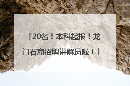 20名！本科起报！龙门石窟招聘讲解员啦！
