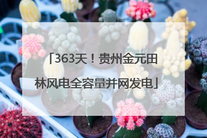 363天！贵州金元田林风电全容量并网发电
