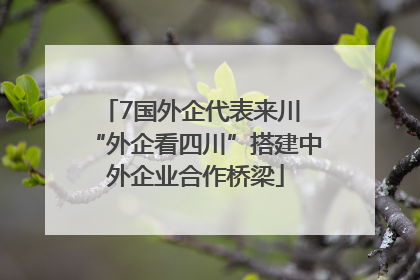 7国外企代表来川 “外企看四川”搭建中外企业合作桥梁