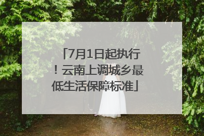 7月1日起执行！云南上调城乡最低生活保障标准