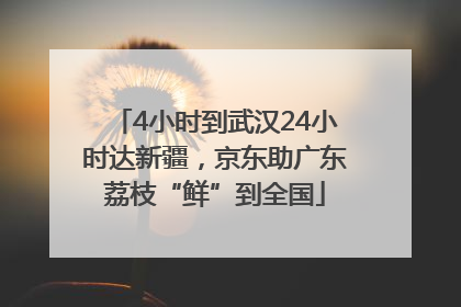 4小时到武汉24小时达新疆，京东助广东荔枝“鲜”到全国