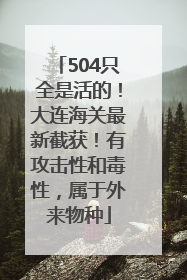 504只全是活的！大连海关最新截获！有攻击性和毒性，属于外来物种