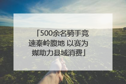 500余名骑手竞速秦岭腹地 以赛为媒助力县域消费
