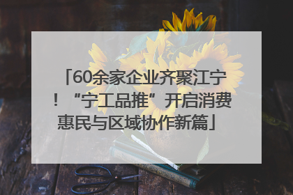 60余家企业齐聚江宁！“宁工品推”开启消费惠民与区域协作新篇