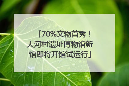 70%文物首秀！大河村遗址博物馆新馆即将开馆试运行