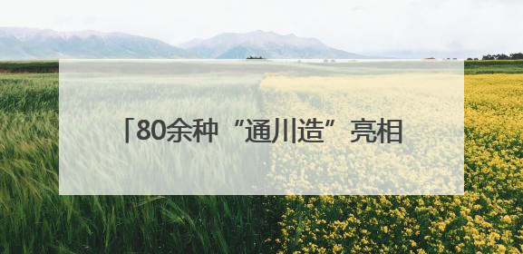 80余种“通川造”亮相西博会 广受客商青睐