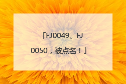 FJ0049、FJ0050，被点名！